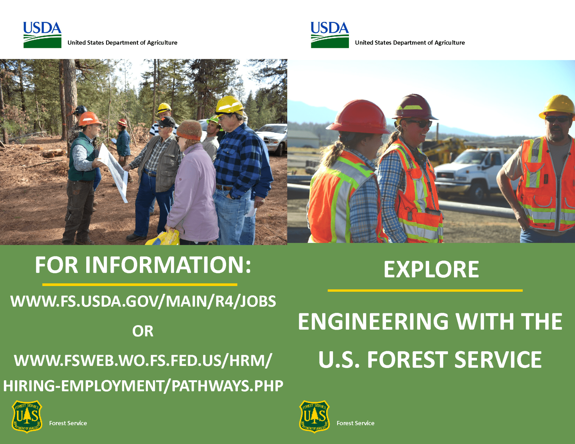Forest Service Brochure